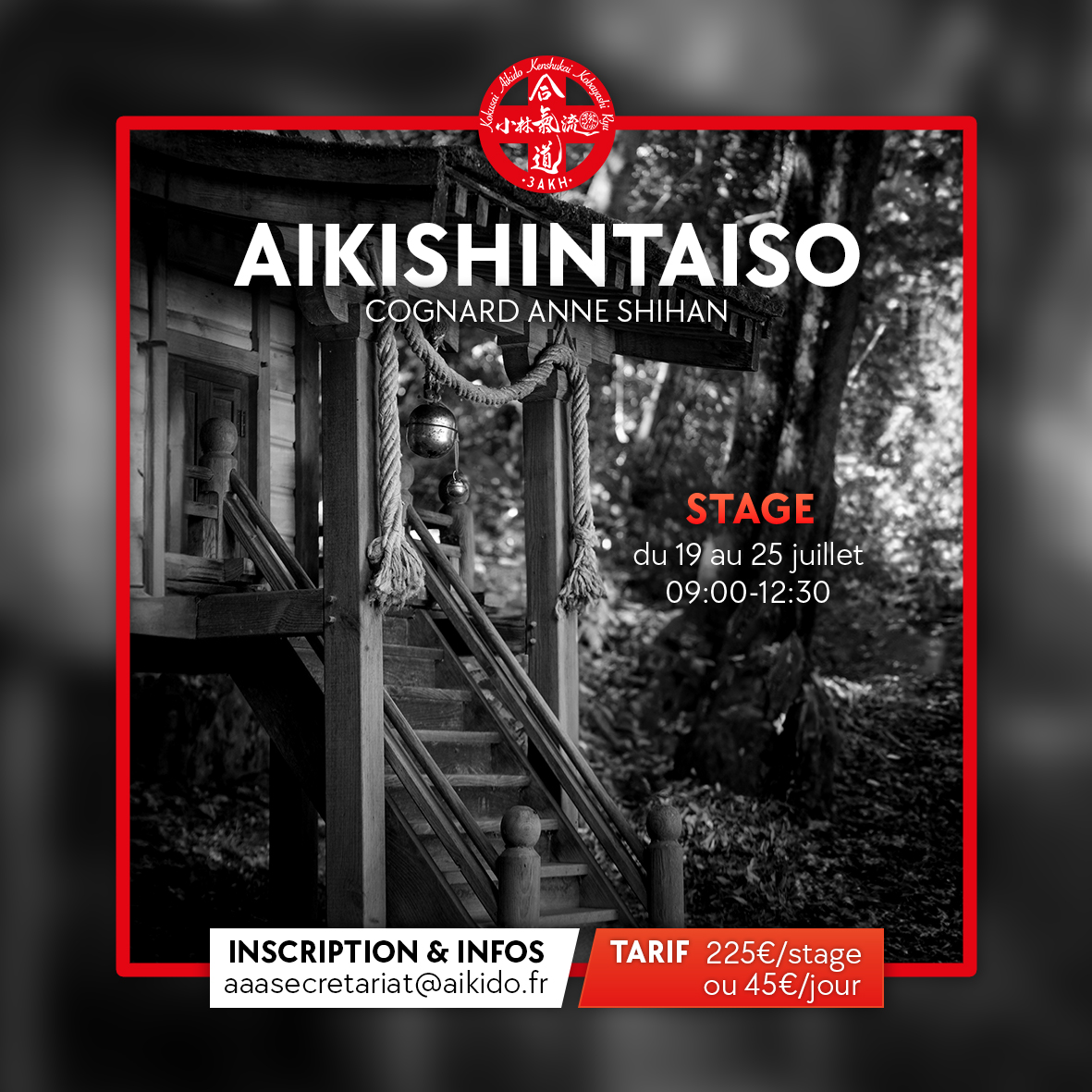 Letnie staże 2025, Kobayashi Ryu Hombu Dojo Bourg Argental - szczegóły